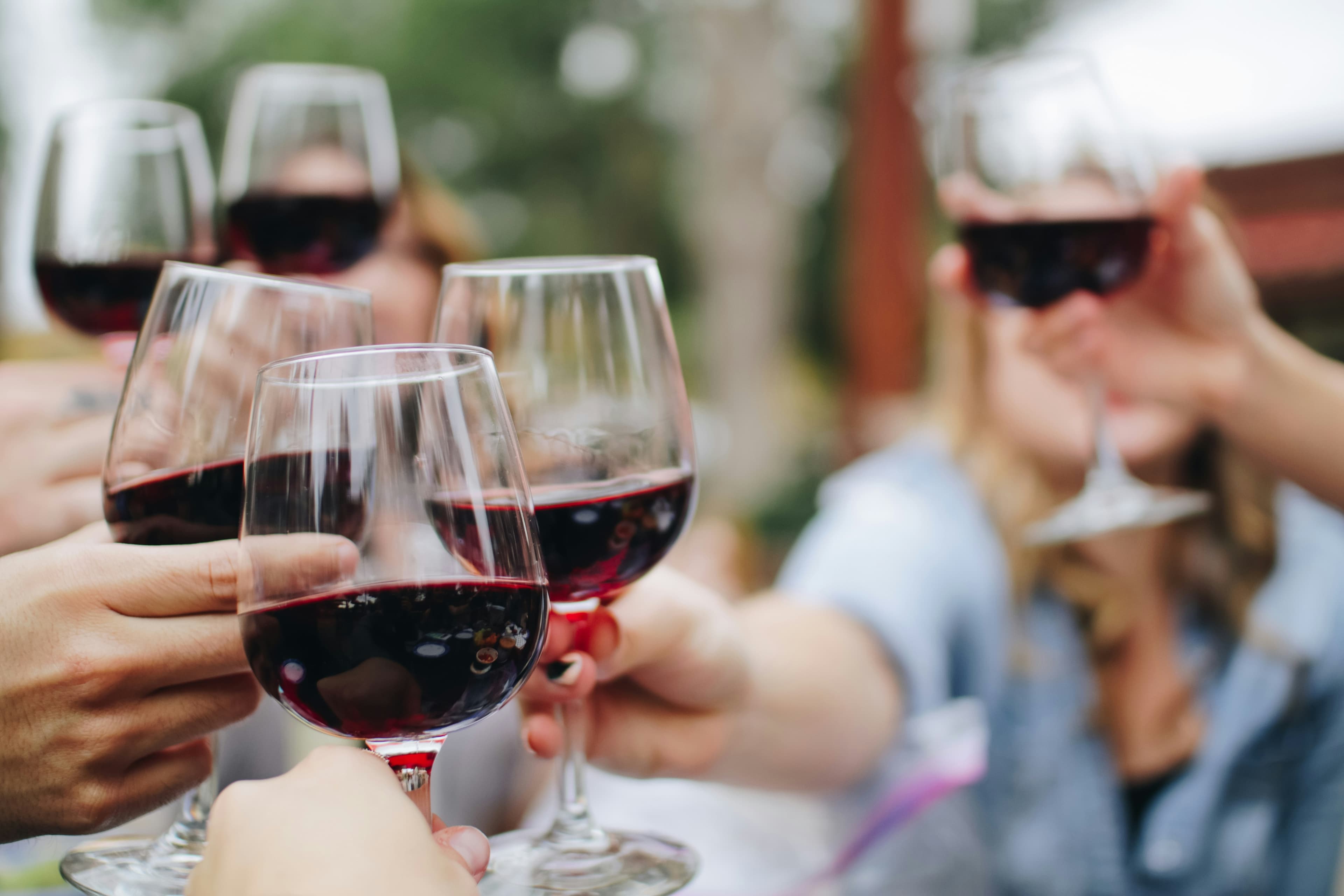 Vinograd ali vinska klet